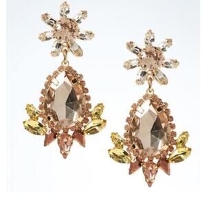 Banana Republic Floral Garden Earring Crystal Drop Chandelier Jewelry NWT